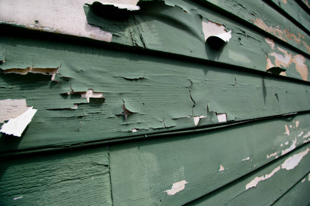 Best Residential Junk Removal  in Sandia Heights, NM