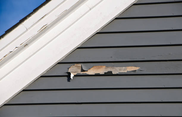 Best Same-Day Junk Removal Services  in Sandia Heights, NM
